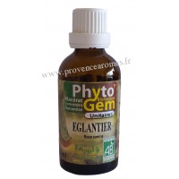 ÉGLANTIER Phyto'gem BIO Phytofrance Euro Santé Diffusion 