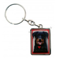 Porte-clés chien BEAUCERON en métal