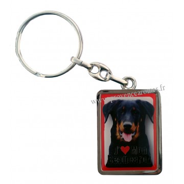 Porte-clés chien BEAUCERON en métal