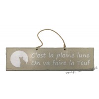 Plaque en bois " C'est pleine lune on va faire la teuf " déco Chat fond beige clair