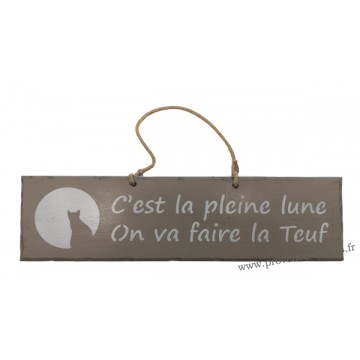 Plaque en bois " C'est pleine lune on va faire la teuf " déco Chat fond Taupe