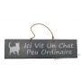 Plaque en bois "Ici vit un chat peu ordinaire" déco Chat fond Anthracite