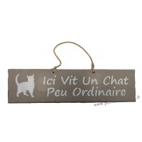 Plaque en bois "Ici vit un chat peu ordinaire" déco Chat fond Taupe