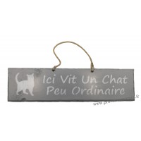 Plaque en bois " Ici vit un chat peu ordinaire " déco Chat fond gris clair