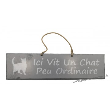 Plaque en bois " Ici vit un chat peu ordinaire " déco Chat fond gris clair