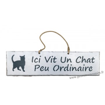 Plaque en bois " Ici vit un chat peu ordinaire " déco Chat fond blanc