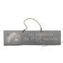 Plaque en bois "Les aventures de P'tit Minou (poisson)" déco Chat fond gris clair