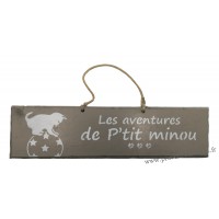 Plaque en bois " Les aventures de P'tit Minou sur le ballon " déco Chat fond Taupe