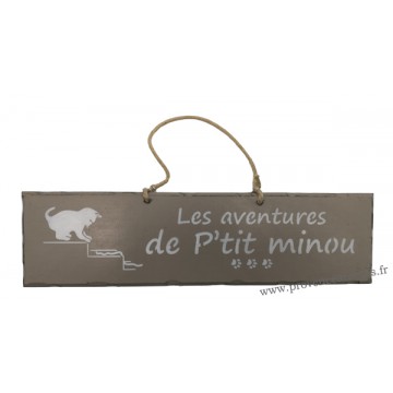 Plaque en bois " Les aventures de P'tit Minou qui joue dans l'escalier " déco Chat fond Taupe