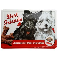 Plaque métal Best Friends carte postale rétro vintage collection