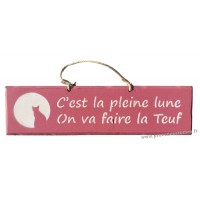 Plaque en bois " C'est pleine lune on va faire la teuf " déco Chat fond Rose