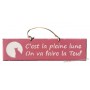 Plaque en bois " C'est pleine lune on va faire la teuf " déco Chat fond Rose