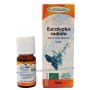 EUCALYPTUS RADIATA Huile Essentielle BIO Phytofrance