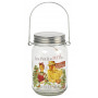 Lampe Led Mason Jar JARDINIER Natives déco rétro vintage