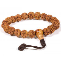 Mala/bracelet en Rudraksha 21 perles