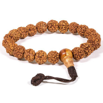 Mala/bracelet en Rudraksha 21 perles