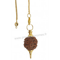 Pendule séphoroton en Rudraksha chaînette dorée