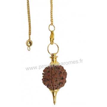 Pendule séphoroton en Rudraksha chaînette dorée