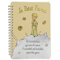 Carnet nuit étoilée LE PETIT PRINCE