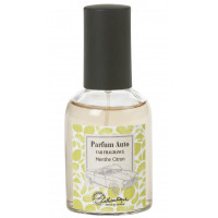 Parfum d'ambiance MENTHE CITRON pour Auto Lothantique