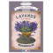 Lavande alimentaire de Provence Recharge 20 gr pour Boîte saupoudreur déco rétro Esprit Provence