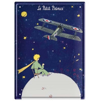 Plaque métal LE PETIT PRINCE avion 15 x 21 cm déco rétro vintage