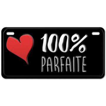 Magnet métal 100% PARFAITE