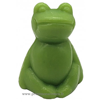 Savon en forme de grenouille verte