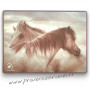 Set de table Chevaux Camargue I & S Collection