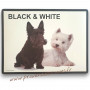 Set de table Chiens Black & White I & S Collection