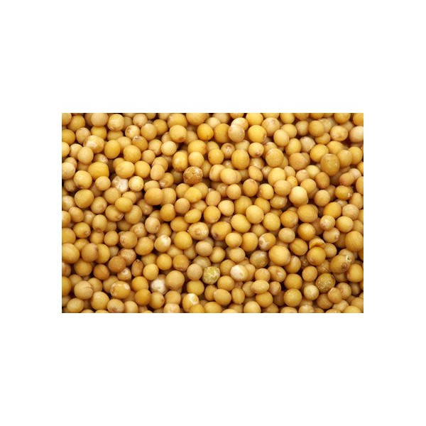 Moutarde jaune en graines - MesZépices - Achat, utilisation et recettes