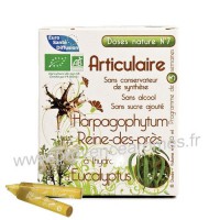 renforce articulation avec Harpagophytum, Reine-des près et Eucalyptus Articulaire doses Nature n°7 Phytofrance