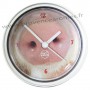 Horloge aimantée COCHON SPLISH SPLASH collection MYCLOCK