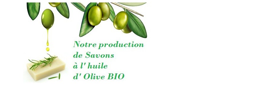 Savons de Provence Arômes à l'huile d'olive Bio