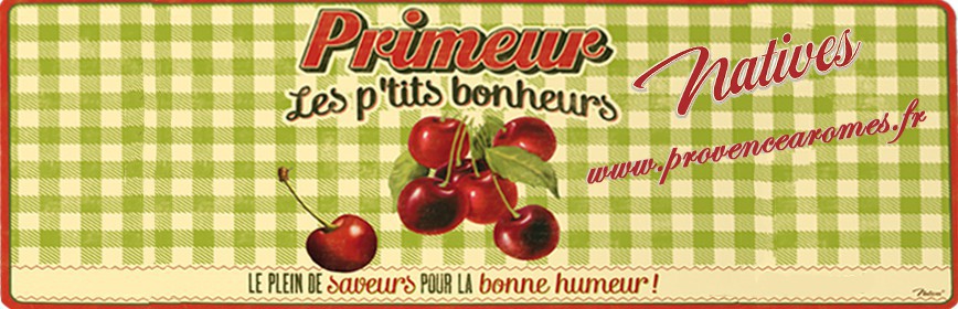 PRIMEUR Natives déco rétro vintage collection