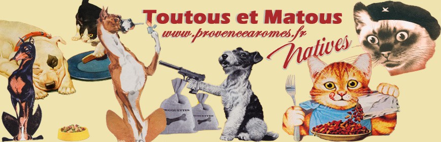 Toutous et Matous accessoires pour Chiens et Chats Natives déco