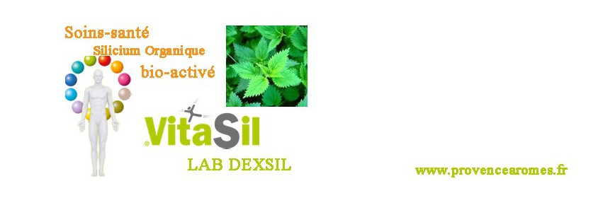 LABS DEXSIL VITASIL SILICIUM ORGANIQUE BIO-ACTIVÉ