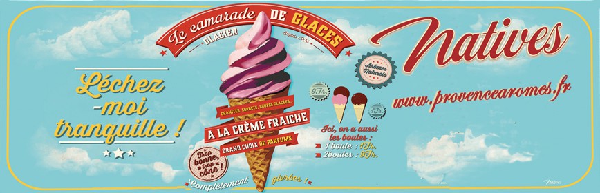 CAMARADE DE GLACE Natives déco rétro vintage humoristique