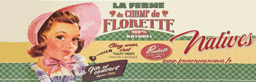 CHAMP DE FLORETTE Natives déco rétro vintage