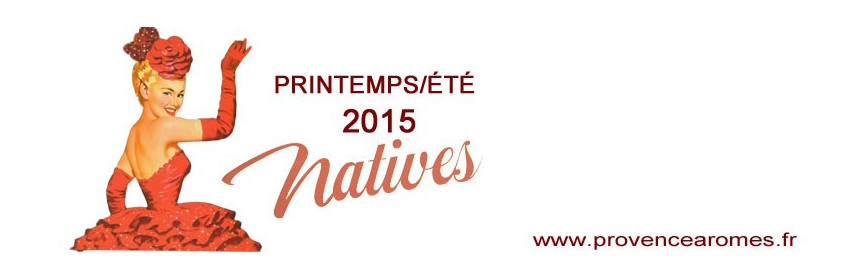 Été 2015 Natives déco rétro vintage