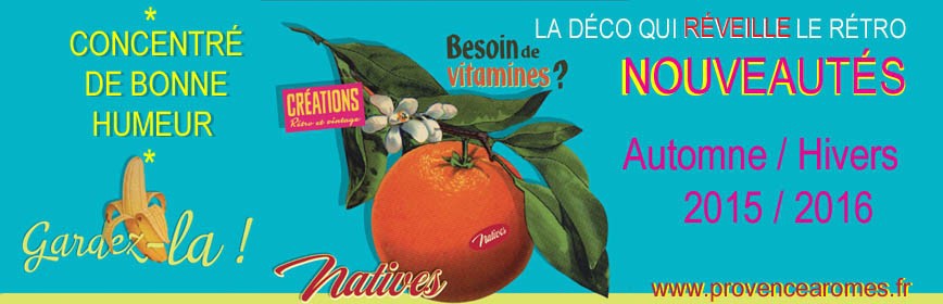 HIVERS 2015 / 2016 Natives déco rétro vintage