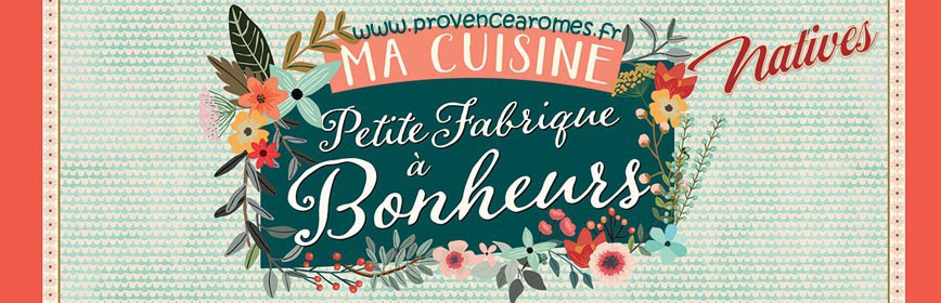 MA CUISINE PETITE FABRIQUE DE BONHEURS Natives déco rétro vintage