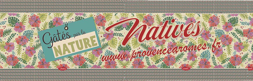 GÂTÉS PAR LA NATURE Natives déco rétro vintage