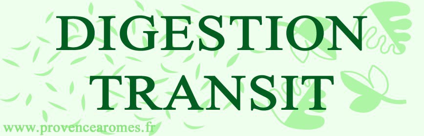 DIGESTION - TRANSIT