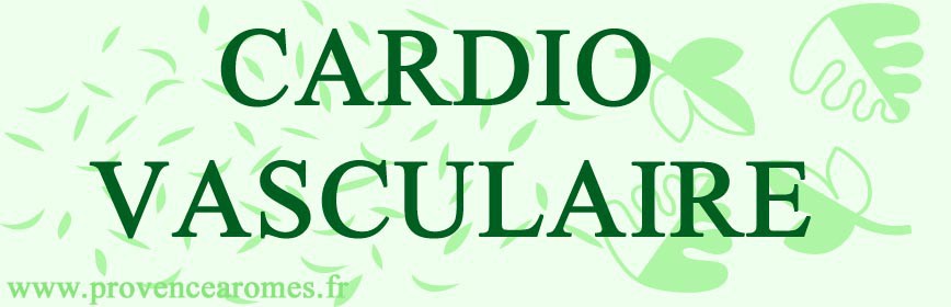 CARDIO - VASCULAIRE