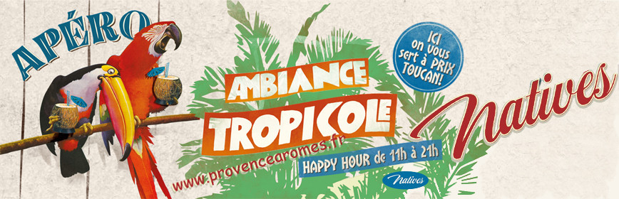 AMBIANCE TROPICOLE Natives déco rétro vintage